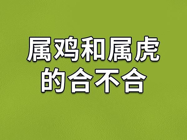 虎鸡属相合不合_属虎和属鸡的婚姻配对