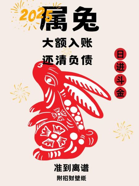 属兔怎么提升财运_属兔人旺财方法