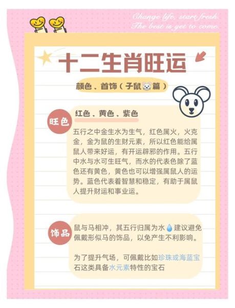 属鼠适合做什么工作_属鼠人职业选择指南