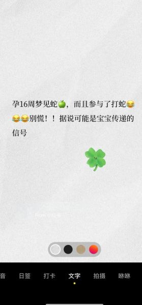 梦到怀双胞胎是什么意思_周公解梦准吗