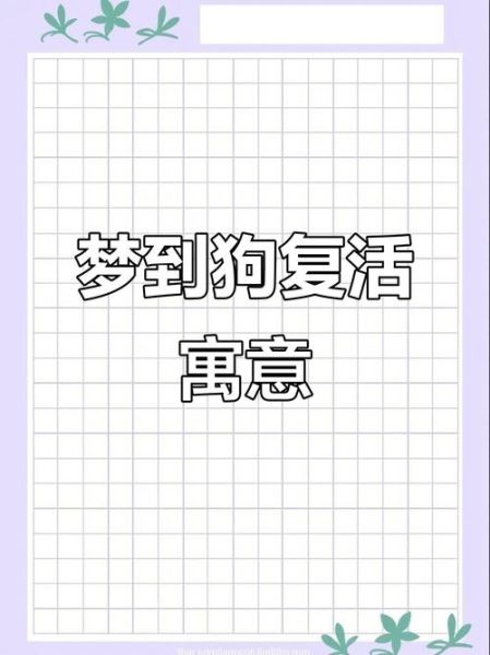 梦到快死的狗_梦见狗快死了是什么意思