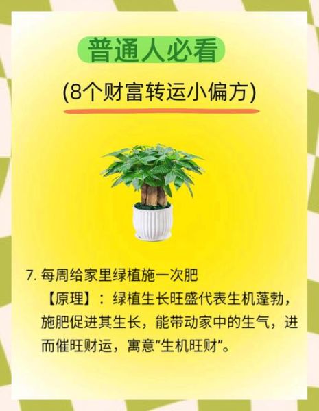 财运广和财运佳哪个好_财运广与财运佳区别