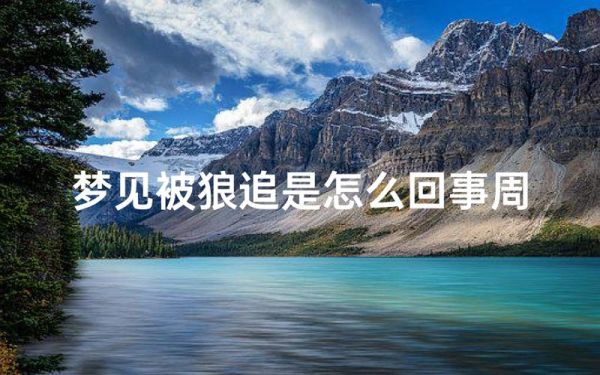 梦到狼死了是什么意思_狼死了预示什么