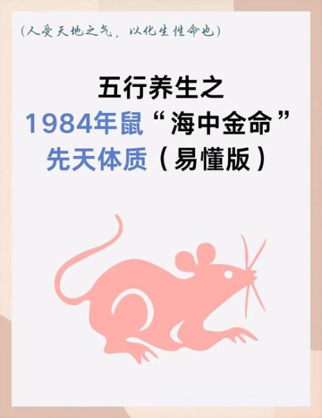 84年属鼠今年运势_84年属鼠2024年财运如何