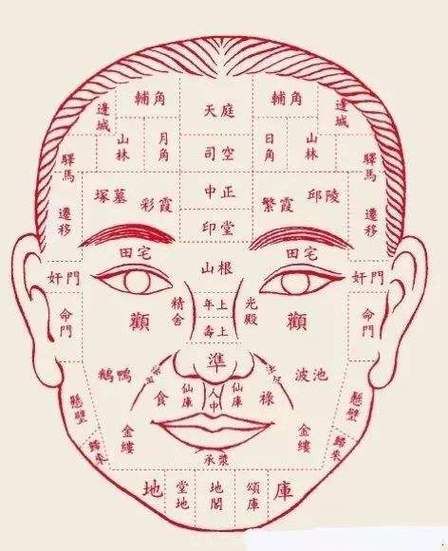 额头高财运好吗_额头高面相财运解析