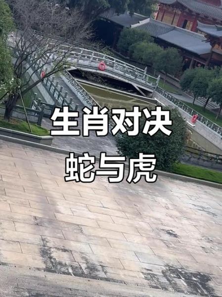 蛇属相和虎属相最配吗_蛇虎婚配优缺点