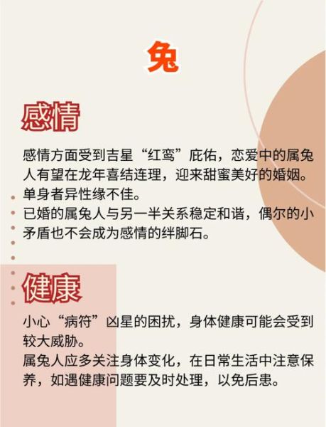 1999年属什么生肖_1999属兔人的命运如何