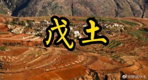 戊土生于酉月财运如何_酉月戊土发财条件