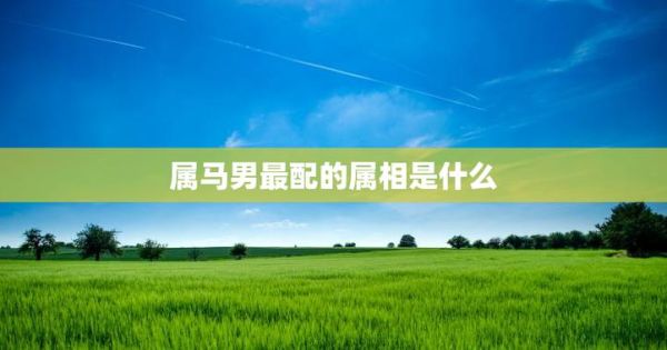 属马男最配哪个属相_属马男和什么属相最合