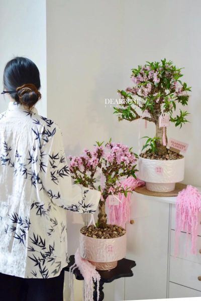 已婚妇女梦到桃花树_寓意是什么