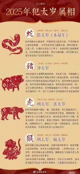 鼠年躲属相是什么意思_鼠年犯太岁如何化解