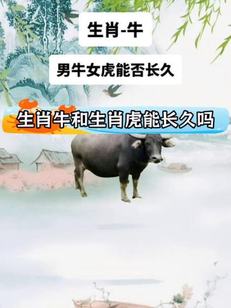 属牛和属虎相冲吗_牛虎相克如何化解