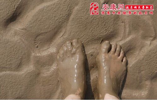 梦到好多泥是什么意思_梦到泥代表什么预兆