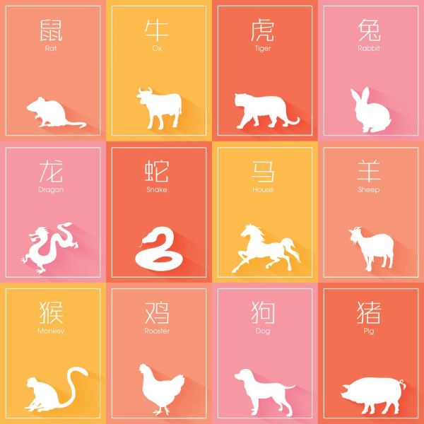 鸡和羊生什么属相宝宝_鸡羊夫妻生什么宝宝好