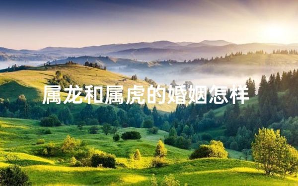属虎和属龙相配吗_属虎和属龙婚姻如何