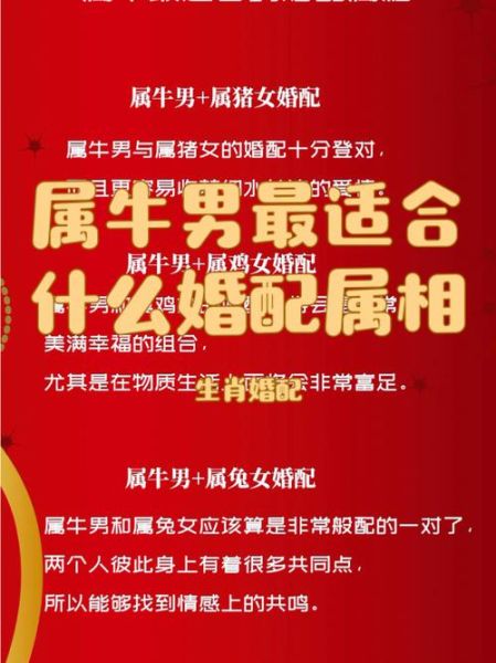 牛男和什么属相最配_牛男婚配禁忌