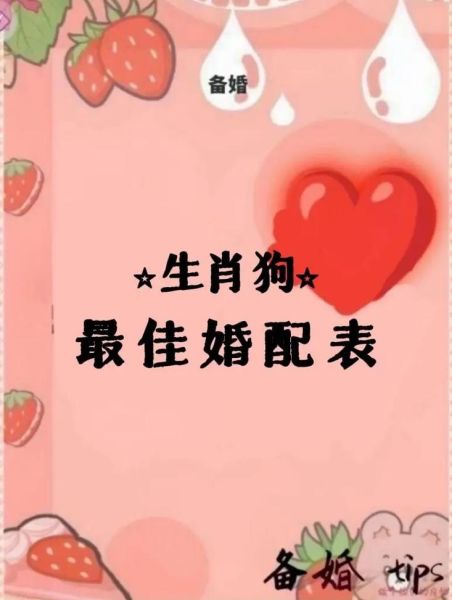 1982年属狗最佳婚配属相_属狗和什么属相最配