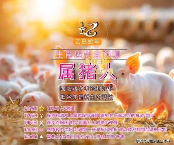 1972年属猪财运如何_2025年运势走向