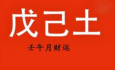 己土2025年运势_己土命如何提升财运