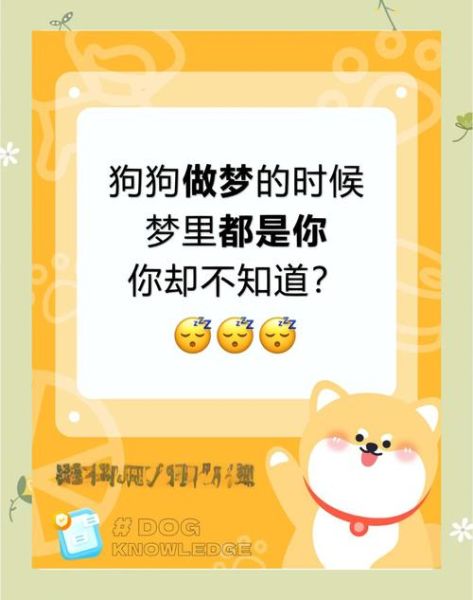 梦到小狼狗是什么意思_小狼狗梦境解析