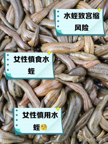 女人梦到水蛭是什么意思_女人梦见水蛭好不好