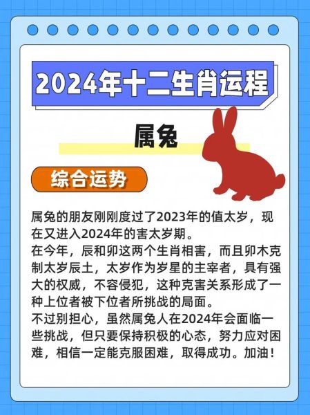 2015年属兔运势详解_兔人2015年财运如何