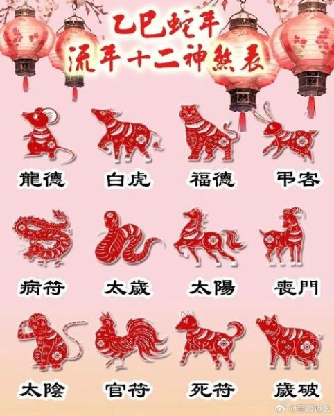 12生肖哪个属相最好命_属龙好还是属鼠好