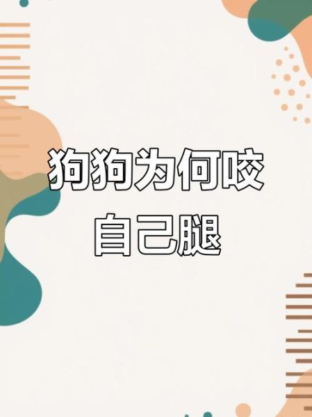 梦到被狗咬小腿_意味着什么