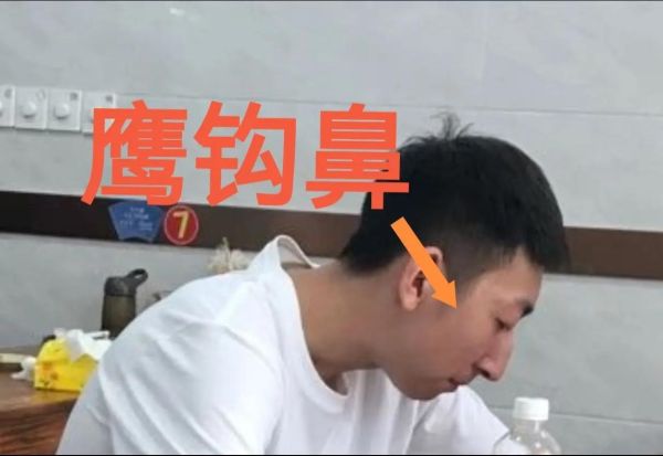 鹰钩鼻的男人财运_鹰钩鼻男人财运好吗