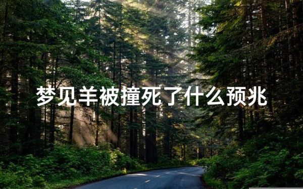 梦到撞死羊是什么意思_如何化解
