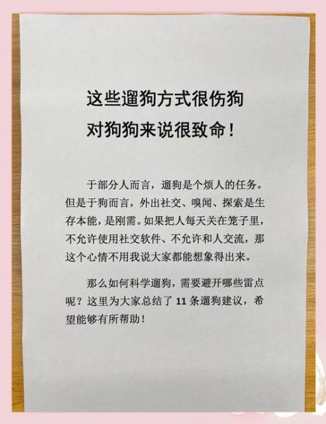 梦到遛狗是什么意思_梦见遛狗预示什么