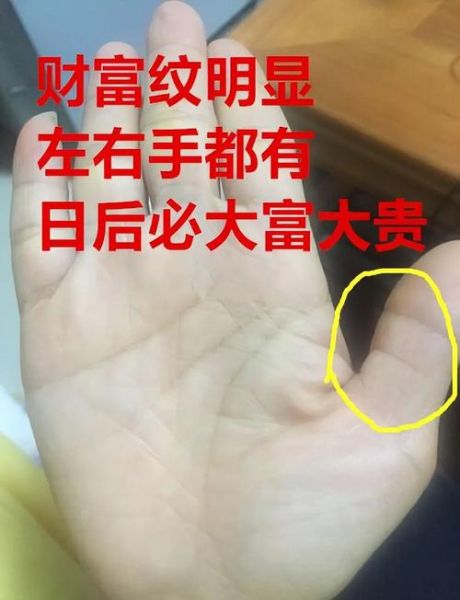 女人手相看财运_哪只手更准