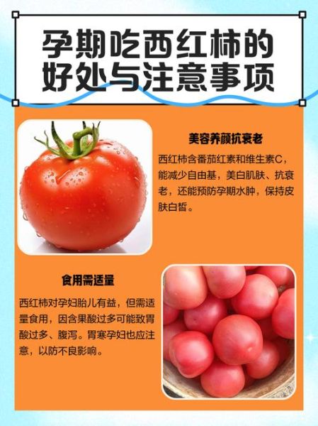 梦到吃西红柿是什么意思_梦到吃西红柿的吉凶预兆
