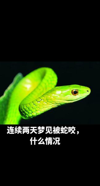 男人梦到蛇咬别人是什么意思_男人梦见蛇咬别人预示什么