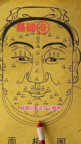 准头财运怎么看_准头有肉财运好吗