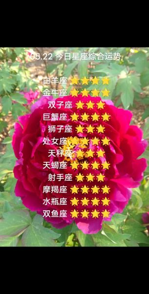 牡羊座本周运势如何_牡羊座感情运势怎么样