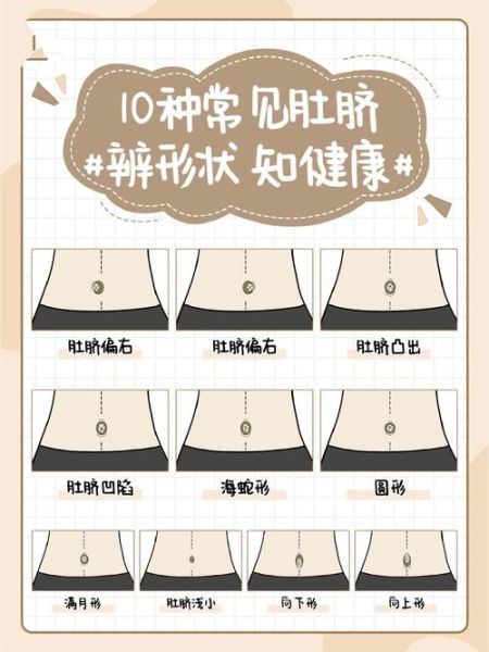 肚脐形状看运势_肚脐深浅代表什么