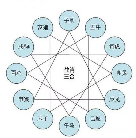 猴属相和什么属相最配_猴属相和什么属相相冲