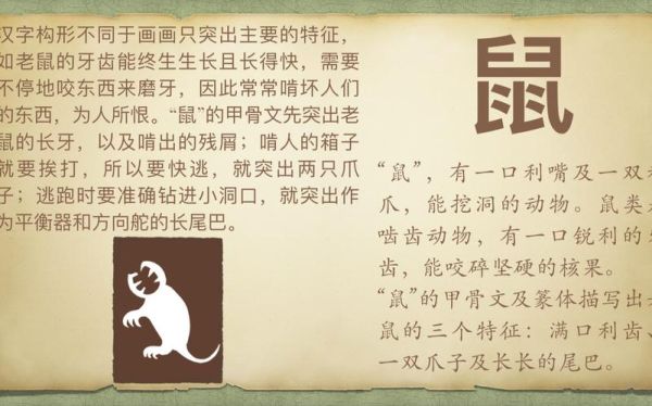 梦到老鼠咬脚_梦见老鼠咬脚是什么意思