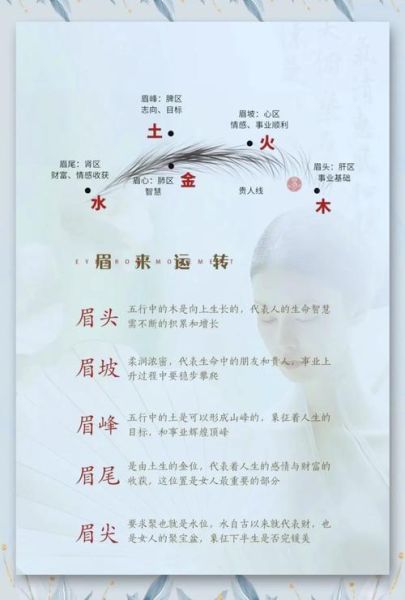 眉毛和财运有关吗_眉毛影响财运是真的吗