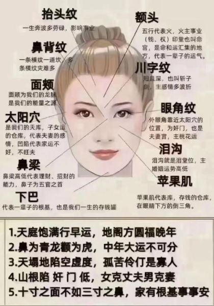 面相看财运怎么看_面相财运图解大全