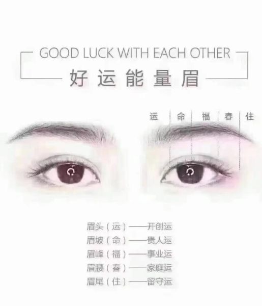 眉形和运势的关系_如何通过眉毛看财运