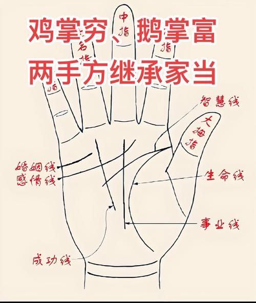 手掌运势怎么看_手相真的能预测未来吗