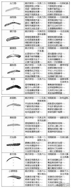 眉毛短少的男人财运_面相与财富真的有关吗