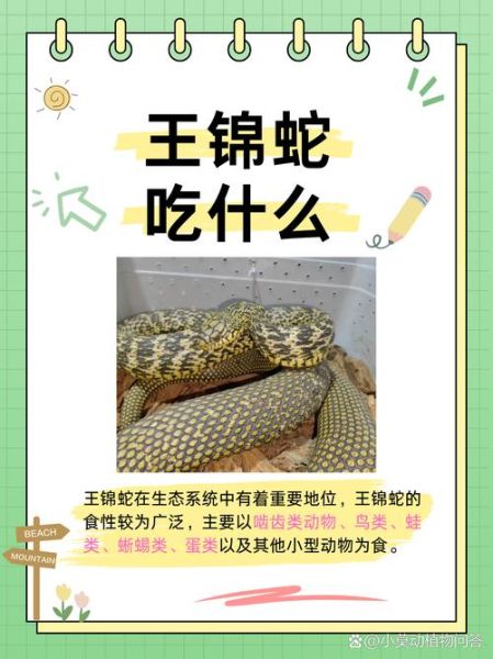 蛇和什么属相相刑_蛇刑克哪些生肖