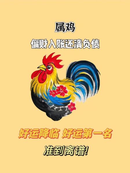 93年属鸡财运如何_93年属鸡今年财运旺不旺