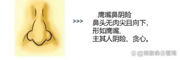 鼻翼下垂财运如何_鼻翼下垂面相好不好
