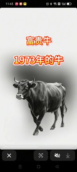 73年出生财运如何_73年属牛一生财富走势