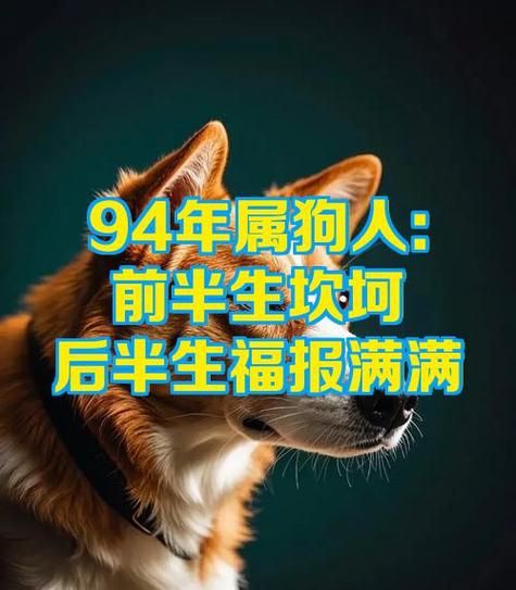 94年属狗女2024年运势如何_94年属狗女2024年感情运好吗