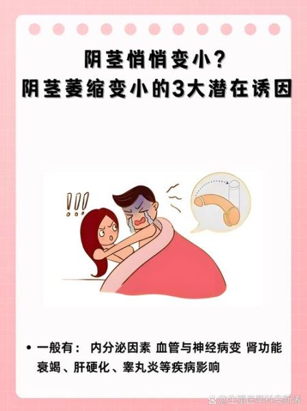 阴茎财运_男人私处风水真的影响财富吗